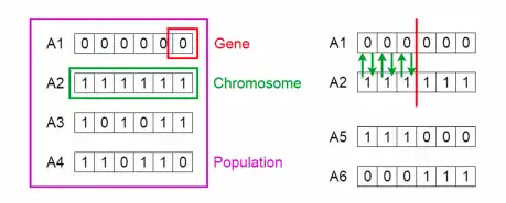 Binary Algorithms