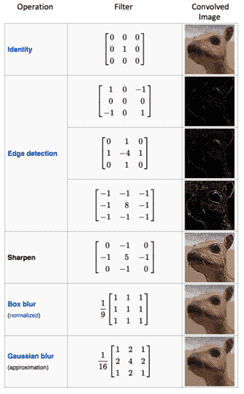 assignment neural network matlab