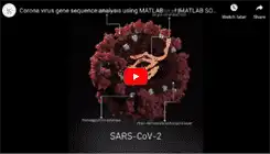 Coronavirus Gene Sequence Analysis Tutorial in MATLAB