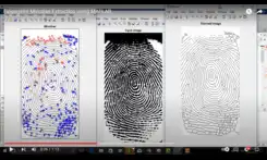 Fingerprint Minutiae Extraction and Analysis