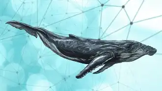 Genetic Algorithm Illustration